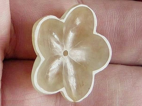Flower 470 - (1785)